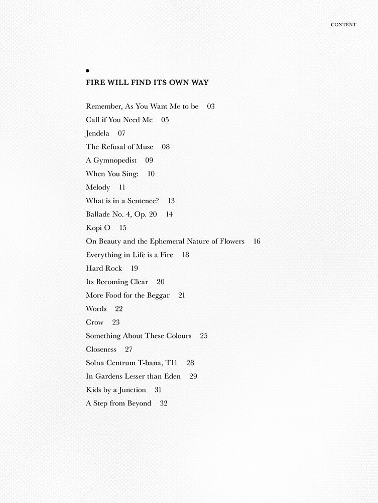 Everything in Life Is a Fire (Ebook)